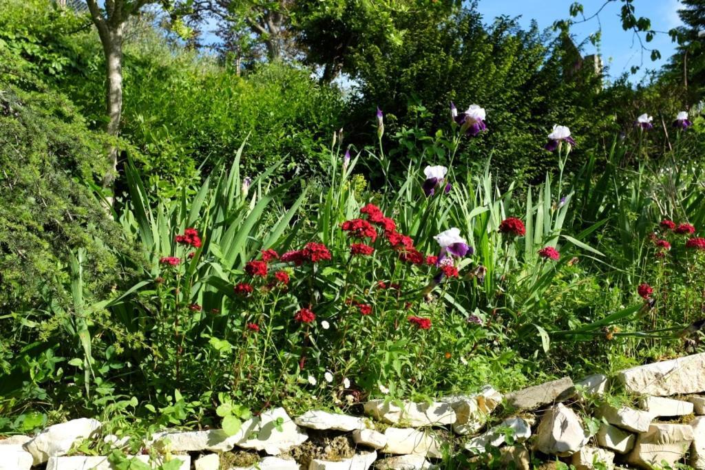 Villa Ca' Dell'Olmo Monteciccardo Εξωτερικό φωτογραφία
